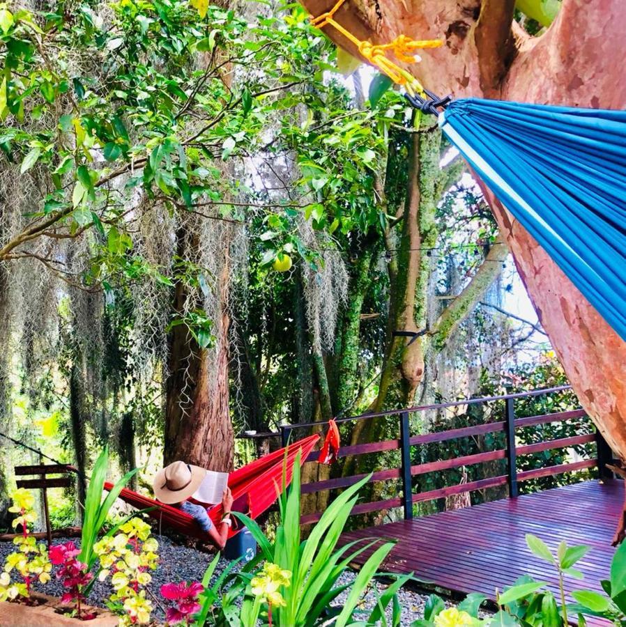 메딜린 Eco Hostal Casa La Juana B&B 외부 사진