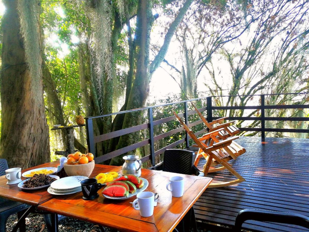 메딜린 Eco Hostal Casa La Juana B&B 외부 사진
