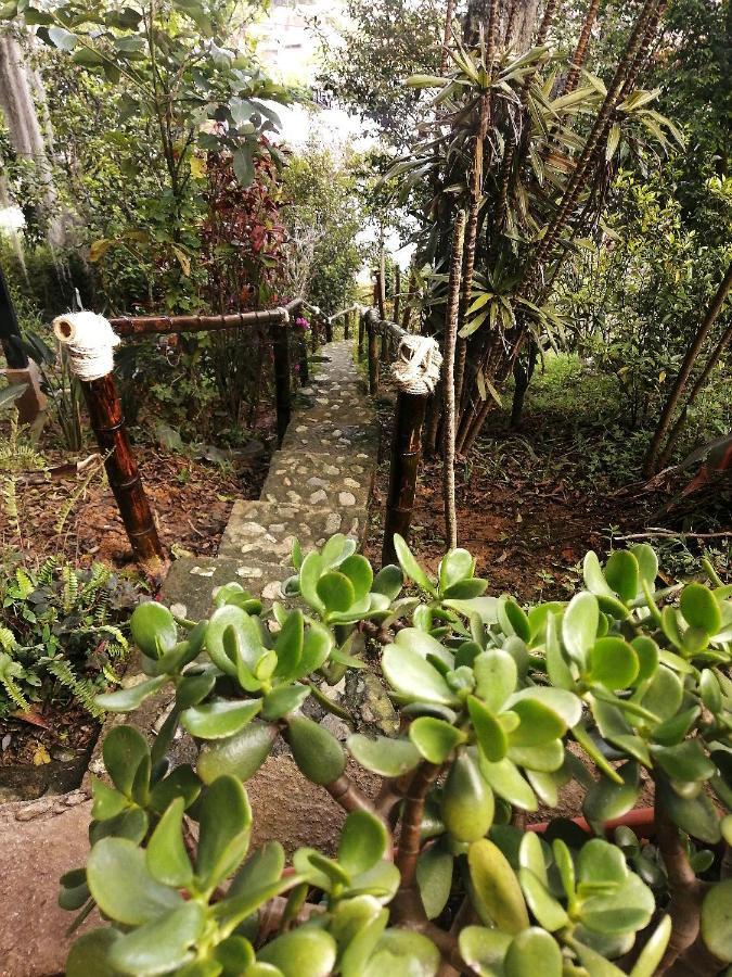 메딜린 Eco Hostal Casa La Juana B&B 외부 사진