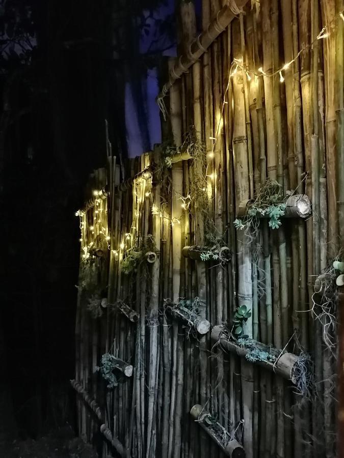 메딜린 Eco Hostal Casa La Juana B&B 외부 사진