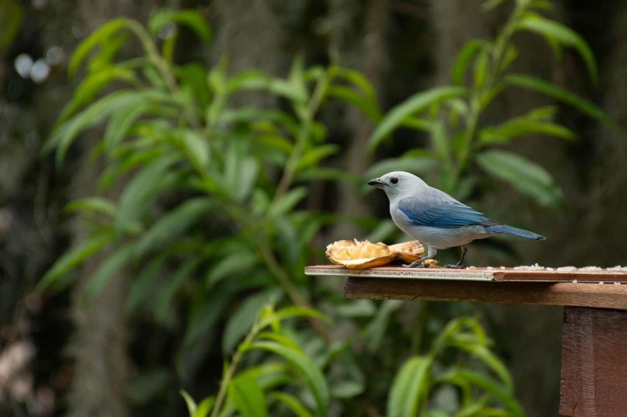 메딜린 Eco Hostal Casa La Juana B&B 외부 사진