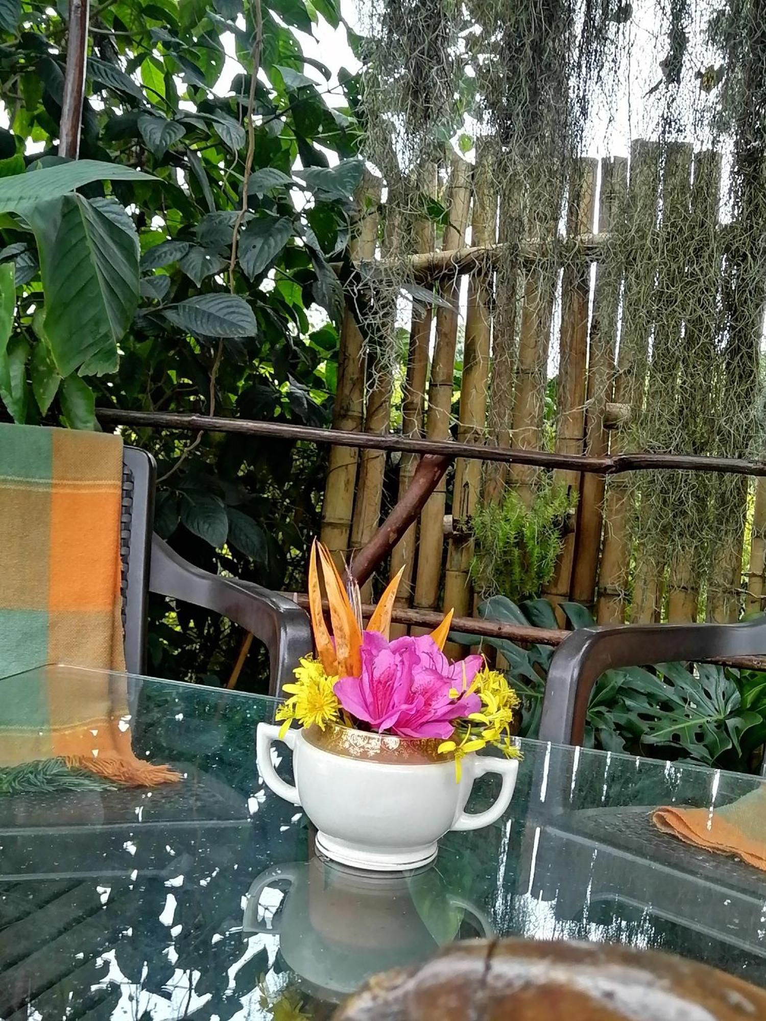 메딜린 Eco Hostal Casa La Juana B&B 외부 사진