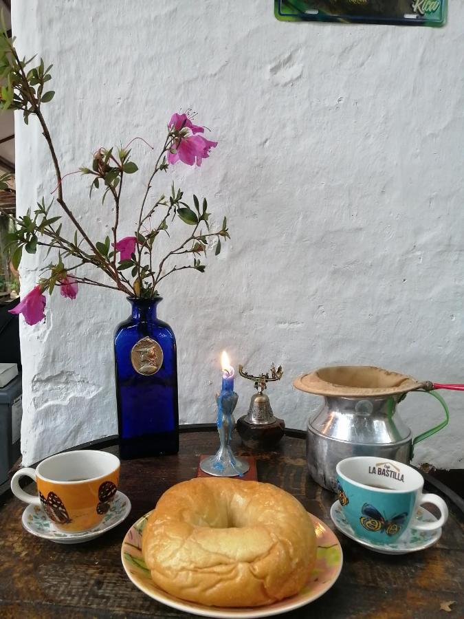 메딜린 Eco Hostal Casa La Juana B&B 외부 사진