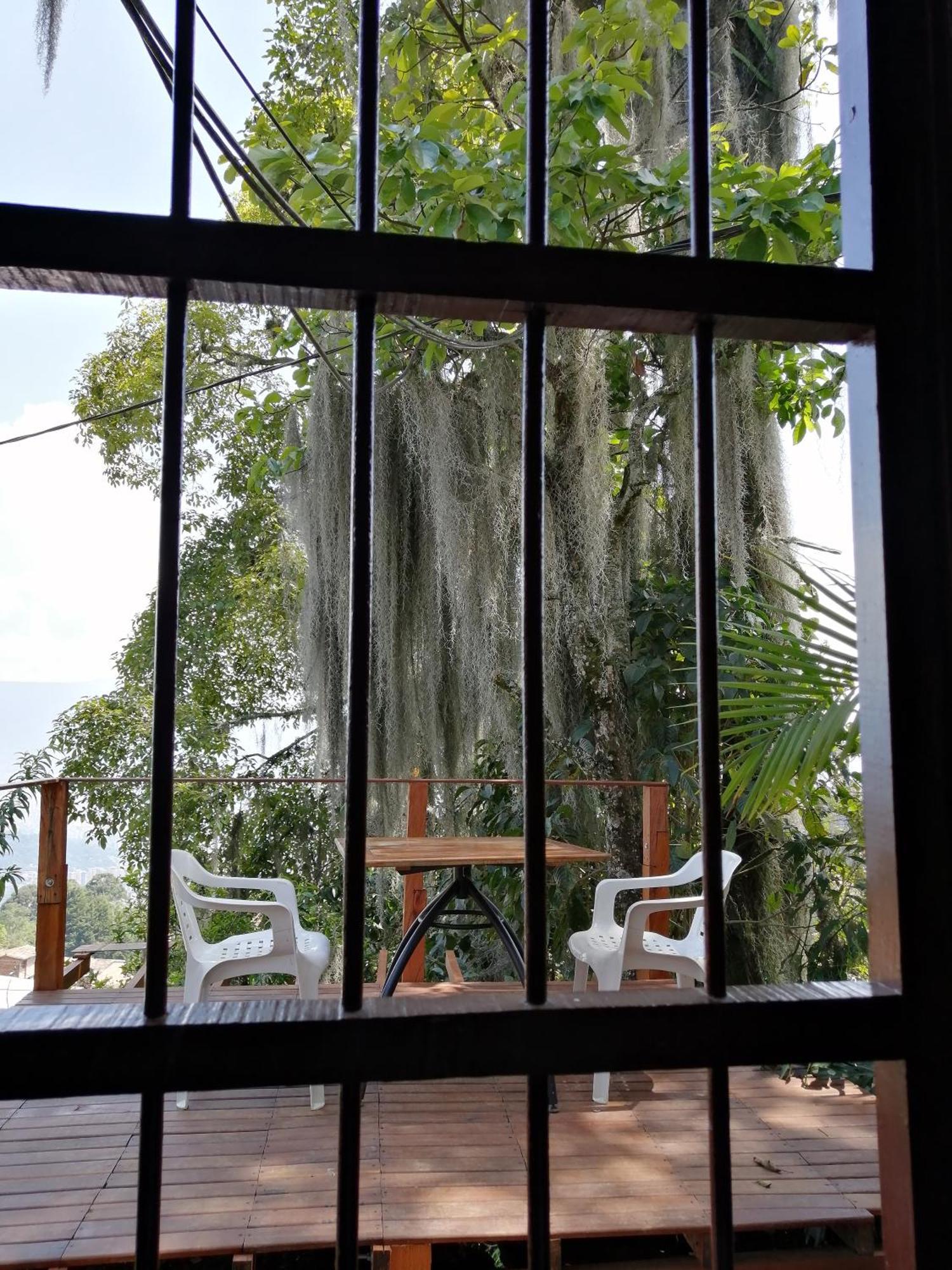 메딜린 Eco Hostal Casa La Juana B&B 객실 사진